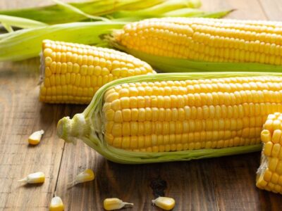 IMG-milho