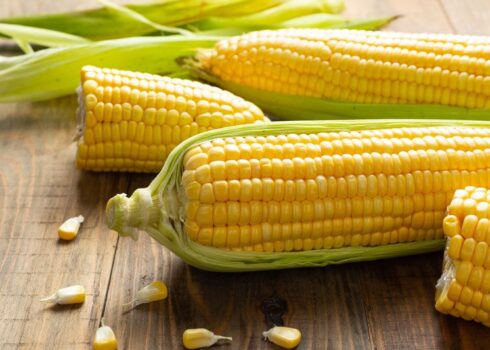 IMG-milho