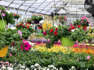 floriculture_new-1080x675